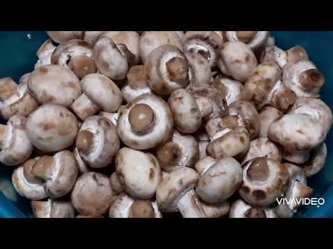 Видео: 🌻 25 Обед для стройности. Встретились три блогера...