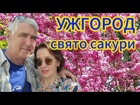 Видео: Ужгород. Свято сакури