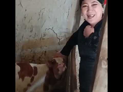 Видео: Маргилон