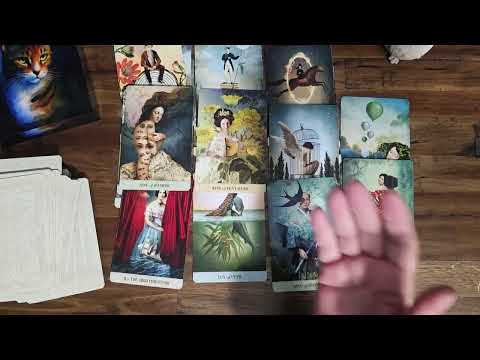 Видео: ОНИ НЕ МОГУТ ЛГАТЬ, СКРЫВАЯ ЭТУ ПРАВДУ!!!