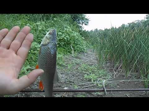 Видео: рыбалка на экраны, рыболовные экраны, улов крупного головля