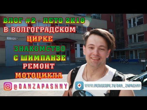 Видео: ВЛОГ №2 Волгоградский Цирк,знакомство с Шимпанзе,ремонт Мотоцикла