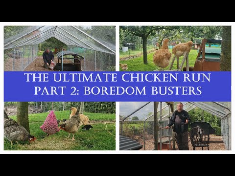 Видео: The Ultimate Chicken Run: Часть 2. Обогащение и борьба со скукой