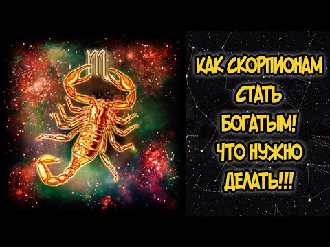 Видео: КАК СКОРПИОНАМ СТАТЬ БОГАТЫМ? ЧТО НУЖНО ДЕЛАТЬ!