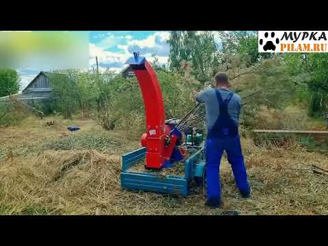 Видео: Мурка щепорез DRX Щ-450 бензиновый цена pilam.ru