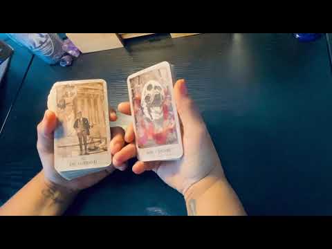 Видео: КОГДА ЧЕРНАЯ ОВЦА ИСЧЕЗНЕТ, И ВСЕМ ПРИДЕТСЯ СТОЛКНУТЬСЯ С ТЕМ, ЧТО ОНИ ПРИНИМАЛИ КАК ДАКОВОЕ.