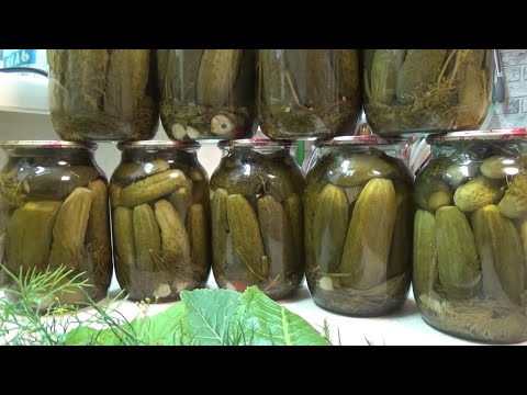 Видео: Делаю так уже 25 лет, маринованные хрустящие огурцы, идеально хранятся в квартире, Шаповаловы