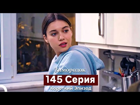 Видео: Зимородок 145 Cерия (Короткий Эпизод) (Русский дубляж)