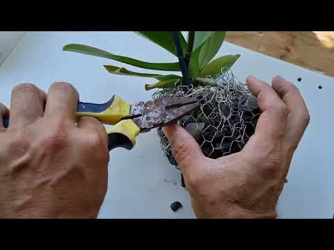 Видео: КРАСИВАЯ идея с орхидеями на BRITA STONE и сделать красивую орхидею KOKEDAMA