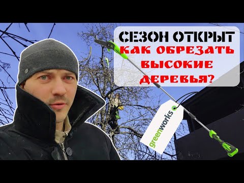 Видео: Обрезка плодовых деревьев I Высоторез Greenworks I Таблица обработки садов