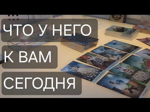 Видео: ЧТО У НЕГО К ВАМ СЕГОДНЯ‼️