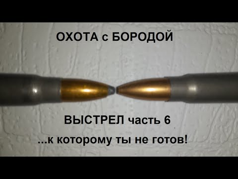 Видео: ОХОТА с БОРОДОЙ. Выстрел  часть6 ...к которому ты не готов.