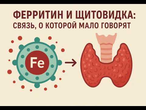 Видео: Курс №3: Ферритин и щитовидка: связь, о которой мало говорят