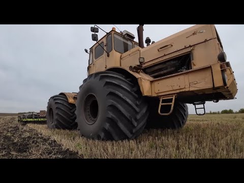 Видео: Трактор Кировец. Продолжаю испытывать ЧДА-5 VELES. Заезжаю на стерню ячменя.