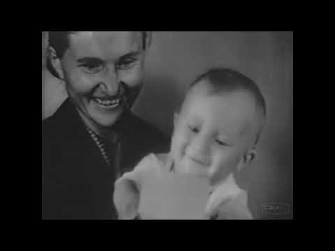 Видео: от героев былых времён 2veg