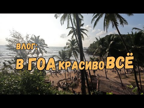 Видео: Гоанский влог: съёмки, отравление и вкуснейший банановый торт 🍌☕