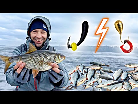 Видео: ОГРОМНАЯ СВИНОПЛОТВА ПО ПОСЛЕДНЕМУ ЛЬДУ! Что лучше: безмотылка или мормышка с мотылем?