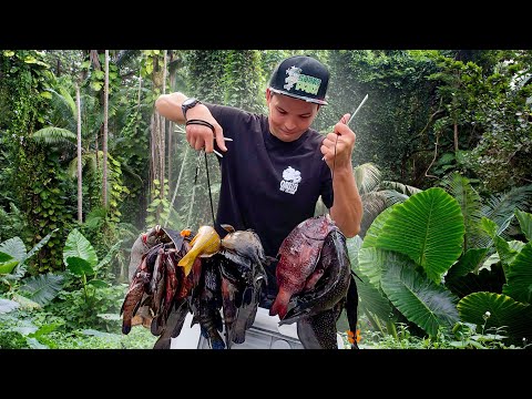 Видео: Сбор рифовой рыбы для гавайских похорон