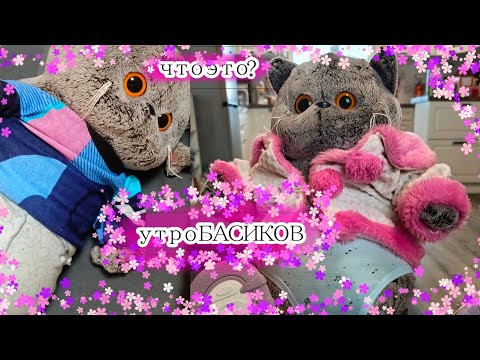 Видео: УТРЕННИЙ ВЛОГ БАСИКОВ / ФЕНЯ ПРОИГРАЛ СПОР/ ВЛОГ / БАСИКИ / РЕБОРН / #рекомендации #басики #реборны 