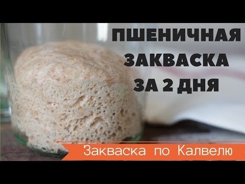 Видео: САМАЯ БЫСТРАЯ ПШЕНИЧНАЯ ЗАКВАСКА по Калвелю за 2,5 дня или 60 часов //  РЕЦЕПТ РАЙМОНДА КАЛВЕЛЯ