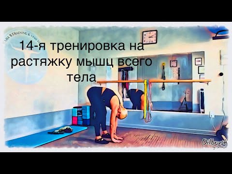 Видео: Часовая тренировка на улучшение диапазона движения суставов, растяжку и укрепление мышц всего тела.