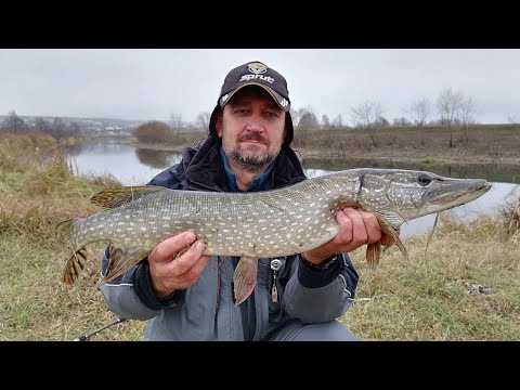 Видео: За ЩУКОЙ на Пьяну. Поиск хищника на малой реке в начале ноября.