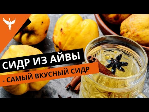 Видео: Сидр из айвы - самый вкусный сидр, что я пробовал в домашних условиях