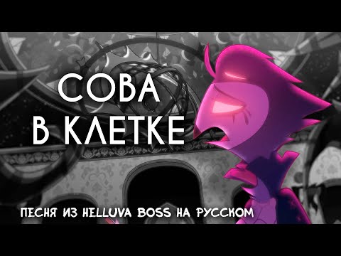 Видео: [Аццкий Босс] Сова в клетке