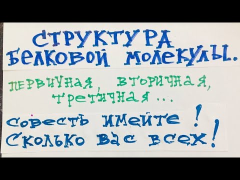 Видео: Структура белковой молекулы. Биохимия