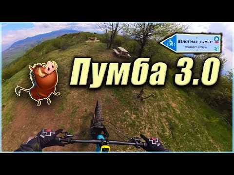 Видео: Велотрасе Пумба 3.0 | Pumba 3.0 MTB Trail [Dupevitsa peak] 🚵‍♀️