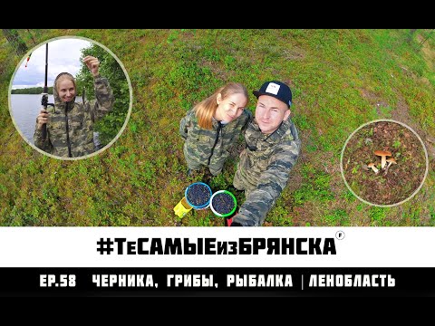 Видео: ЭПИЗОД 58. Черника, Грибы, Рыбалка | Ленобласть