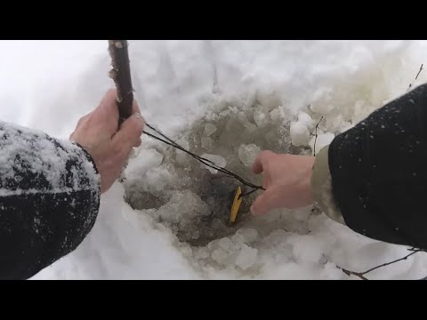 Видео: Проверка самоловак Зимняя аномалия Рыбалка