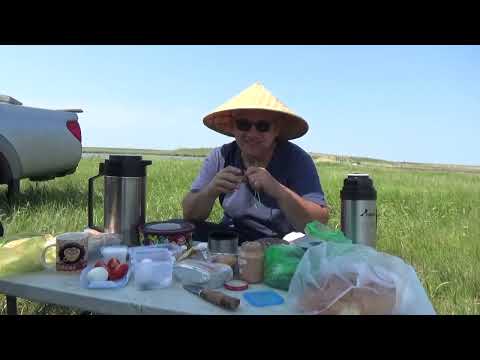 Видео: Охота на сурка, капканы и тика 308 win 2025 год.