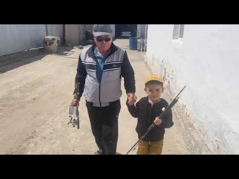 Видео: "Бақытты отбасы"  байқауы