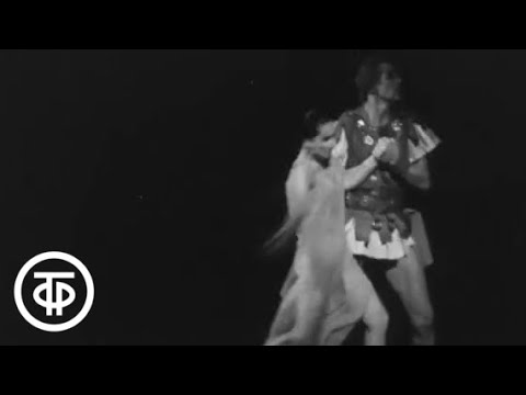 Видео: Ленинградский балет. Серия 1 (1966)
