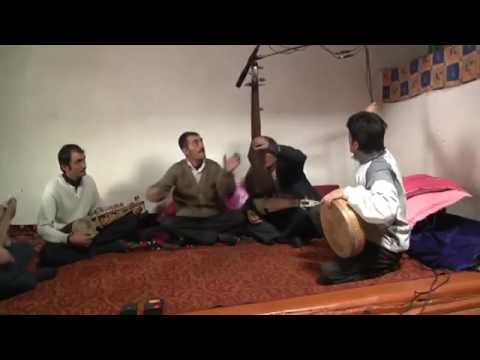 Видео: Хиквор ксоид.(Азизхон)