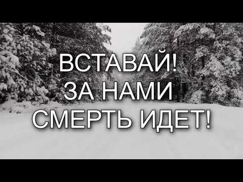 Видео: СИЛЬНАЯ ИСТОРИЯ С ПОЛЕЙ БЛАГОВЕСТИЯ.А. Н. ЗИНЧЕНКО