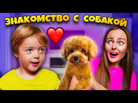 Видео: СОБАКА ЗНАКОМИТСЯ С МОИМ СЫНОМ! 24 ЧАСА Подписчики управляют нашей собакой