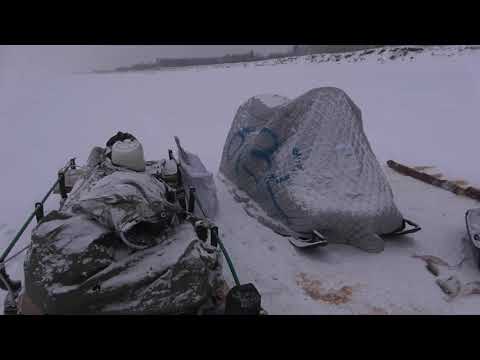 Видео: РЫБАЛКА ТАМ, ГДЕ НИКТО НЕ РЫБАЧИЛ!