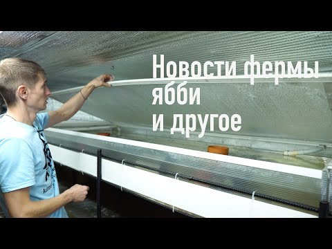 Видео: Перестройка на ферме, про Ябби и другие новости