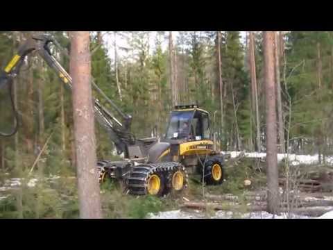 Видео: Бивер, валка леса