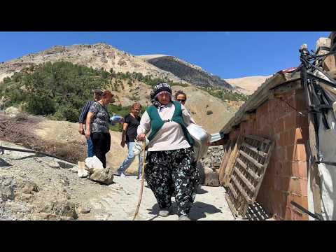 Видео: Великолепная жизнь женщины в горах