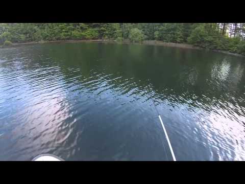 Видео: Крупная озерная форель на воблеры Salmo / Big lake trout on lures Salmo