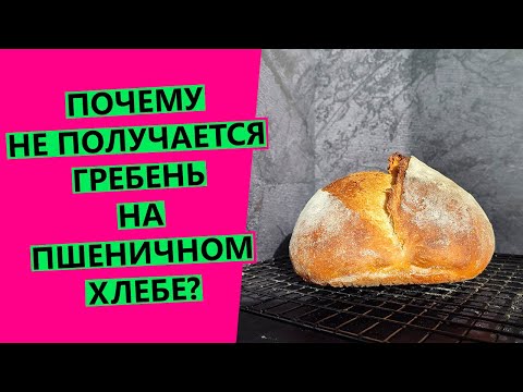 Видео: НЕ ПОЛУЧАЕТСЯ ГРЕБЕНЬ 😱🤦‍♀️ на пшеничном хлебе! Почему? Ответы на все вопросы!