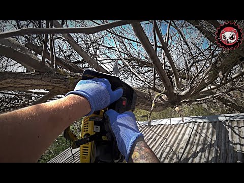 Видео: Один день вне мастерской. ЕДЕМ В ДЕРЕВНЮ!