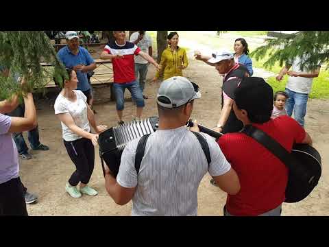 Видео: 247...КАНЫБЕК САРЫ ЧЕЛЕКТЕ