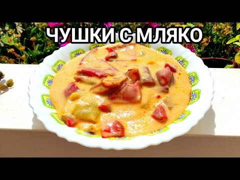 Видео: ЧУШКИ С МЛЯКО! Рецептата тук е за лесна, бърза и много вкусна лятна гозба от Добруджанския край!!!