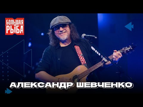 Видео: Александр Шевченко. Концерт | Живой звук
