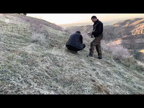 Видео: Охота на кеклика. Кабкшикор.