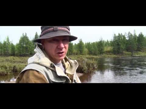 Видео: Река Мая дорога ста лун 1часть